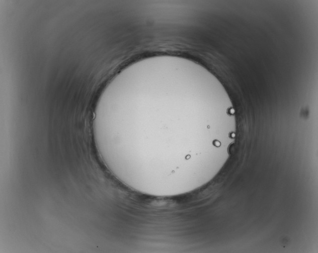 X0000112520415200909071338