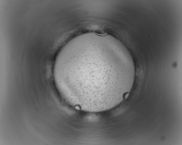 X0000112520416200909071338