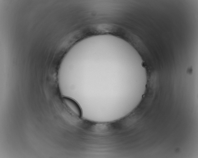 X0000112520418200909071338