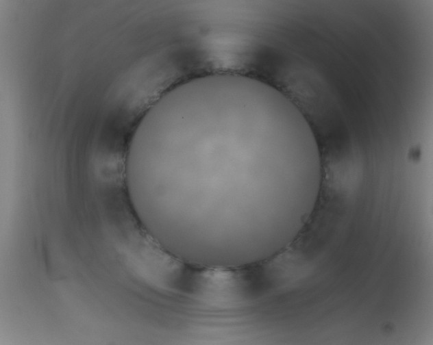 X0000112520419200909071338