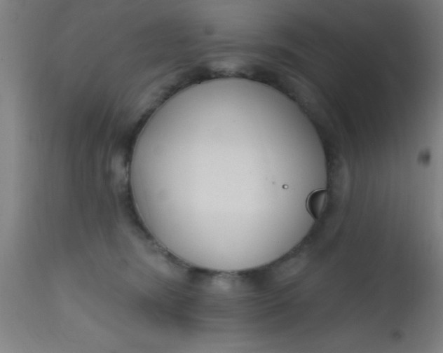 X0000112520420200909071338