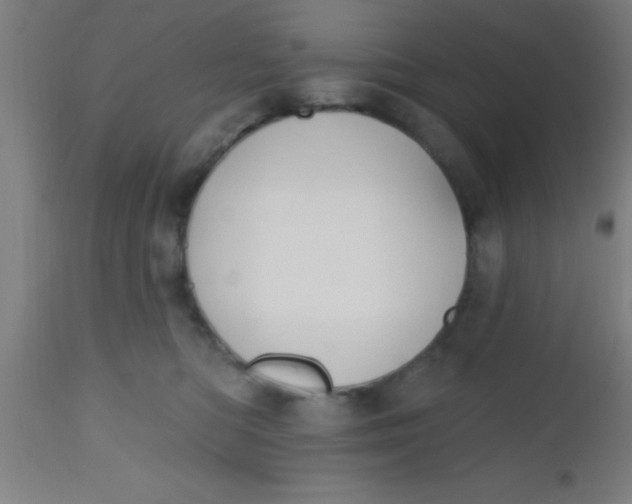 X0000112520422200909071338