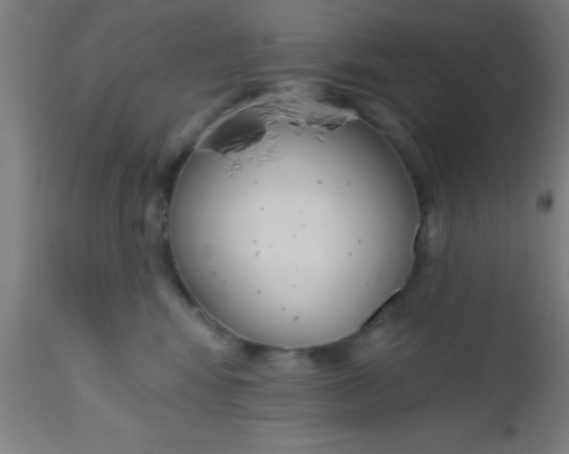 X0000112520424200909071338
