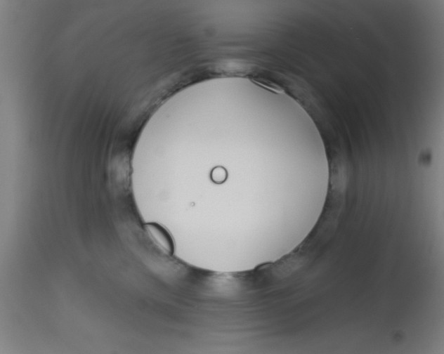 X0000112520425200909071338