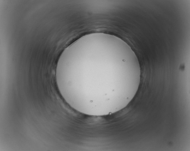 X0000112520427200909071338