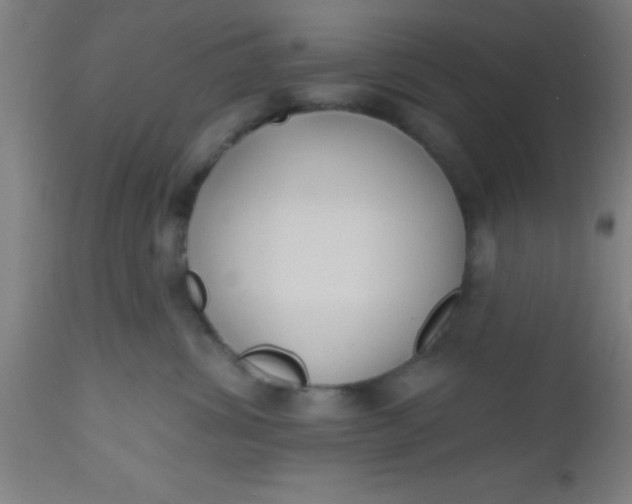 X0000112520428200909071338