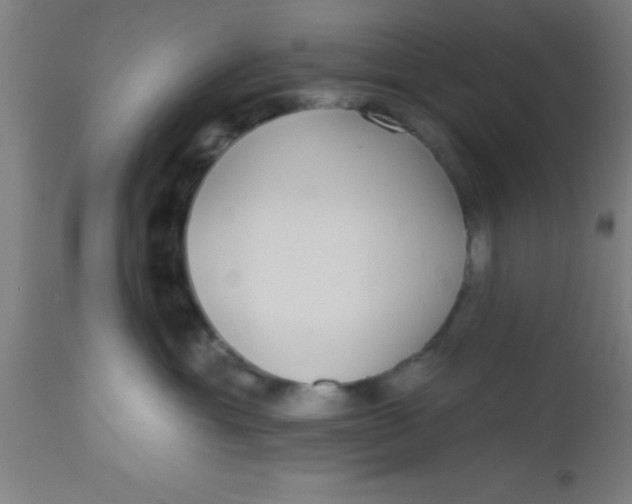 X0000112520429200909071338