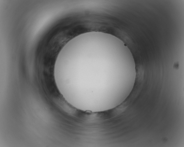 X0000112520430200909071338