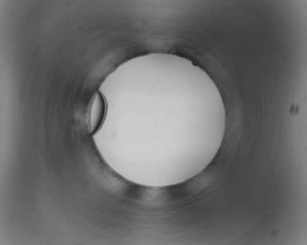 X0000112520432200909071338