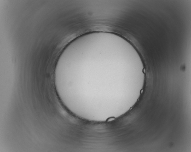X0000112520433200909071337