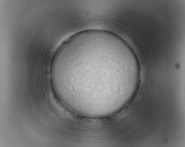 X0000112520434200909071337