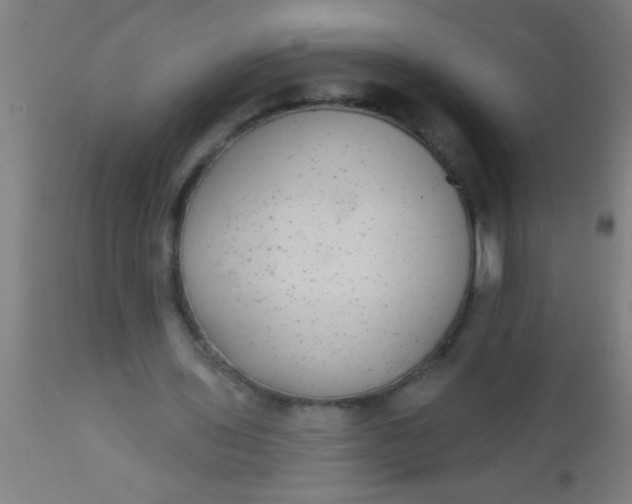 X0000112520435200909071337