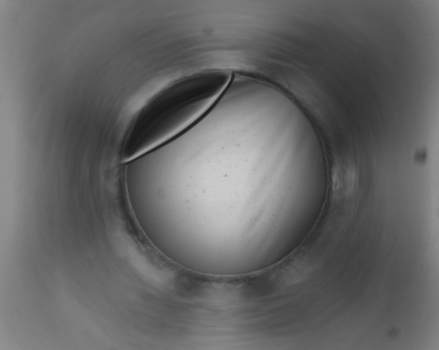 X0000112520436200909071337