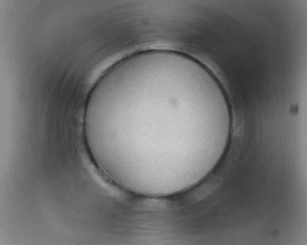 X0000112520437200909071337