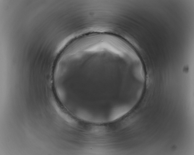 X0000112520438200909071337