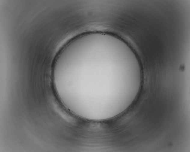 X0000112520439200909071337