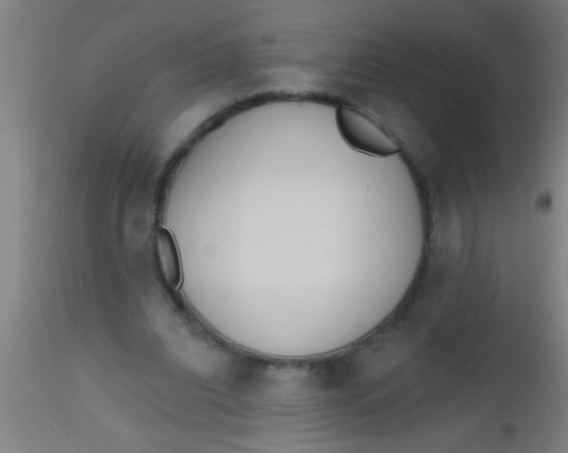 X0000112520440200909071337