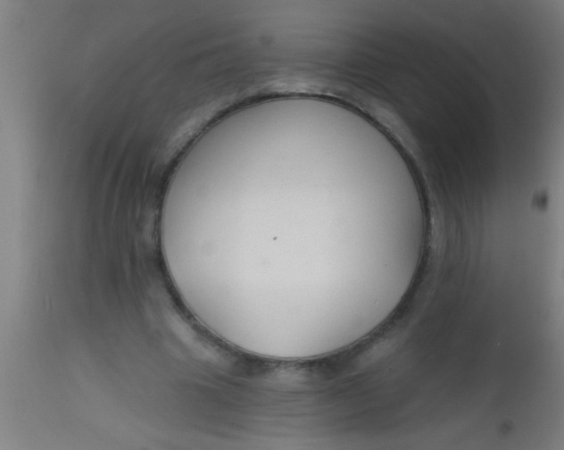 X0000112520441200909071337
