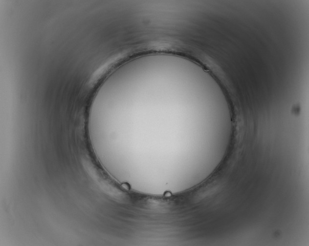 X0000112520442200909071337