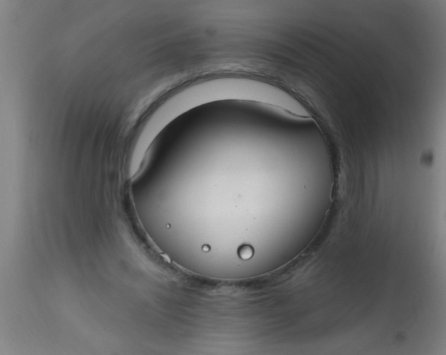 X0000112520444200909071337