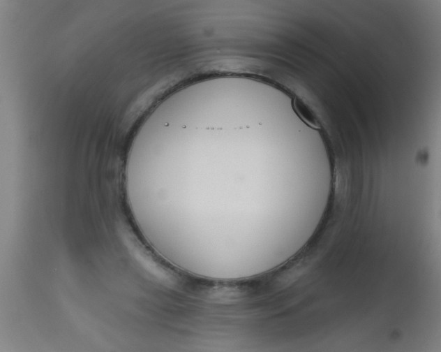 X0000112520445200909071337