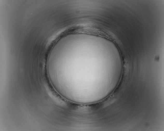 X0000112520446200909071337