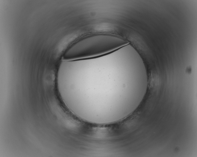 X0000112520448200909071337