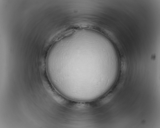 X0000112520453200909071337