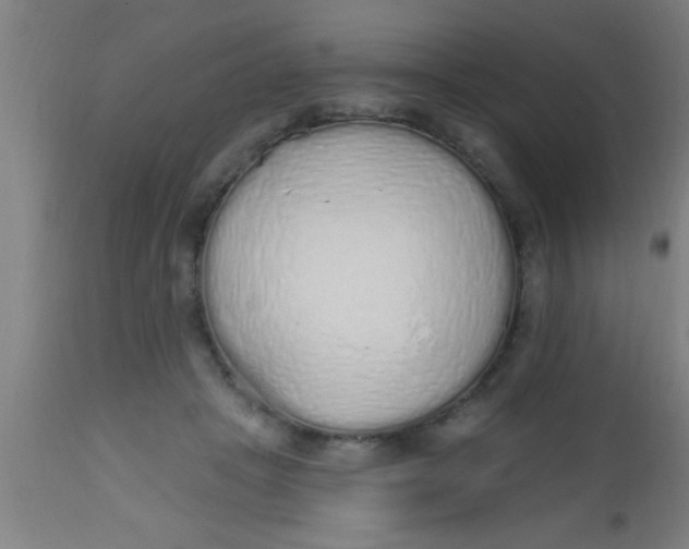 X0000112520457200909071338