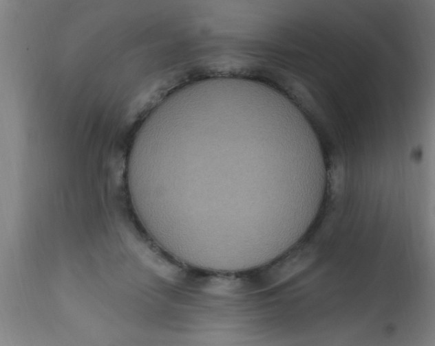 X0000112520458200909071338