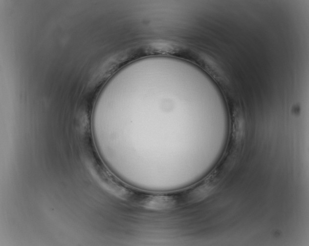 X0000112520459200909071338