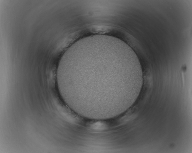 X0000112520460200909071338