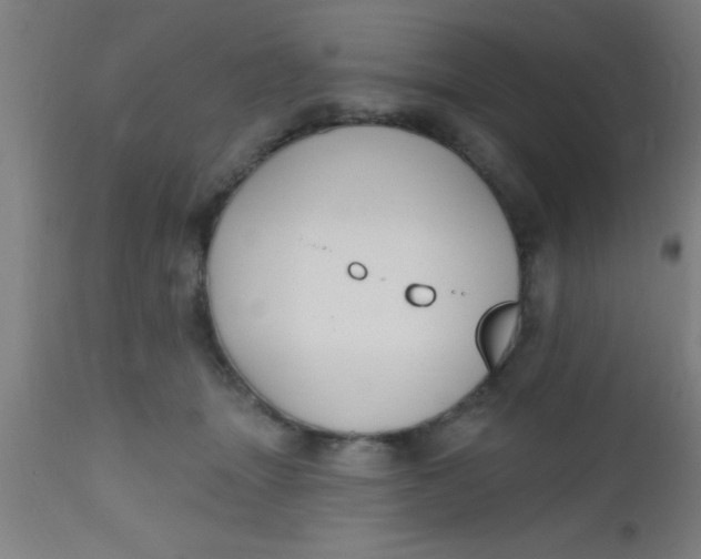 X0000112520463200909071338