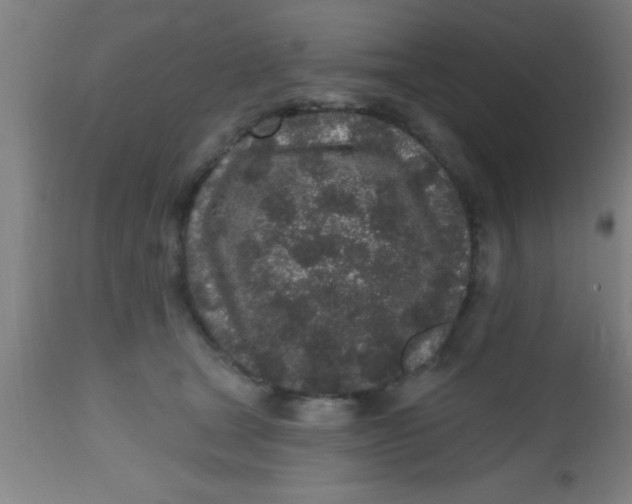 X0000112520465200909071338