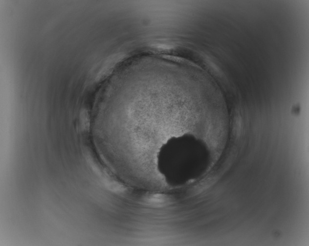 X0000112520467200909071338
