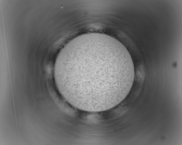 X0000112520468200909071338