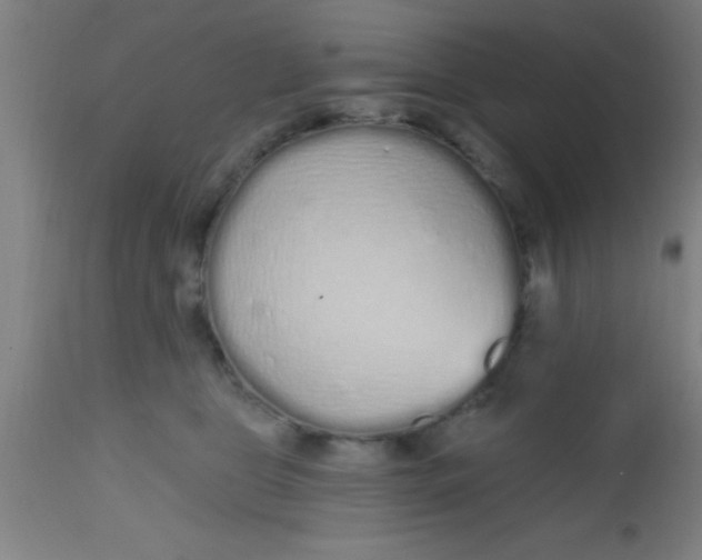 X0000112520469200909071338