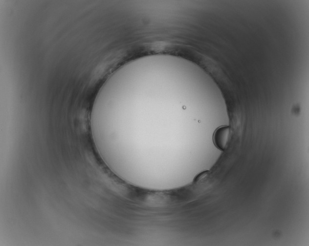 X0000112520470200909071338