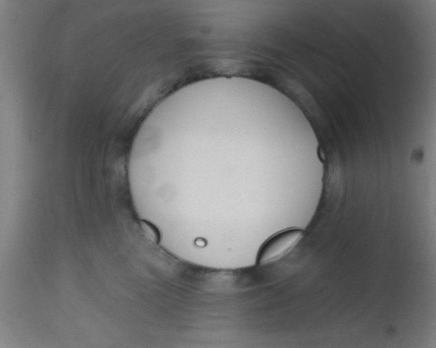 X0000112520473200909071338