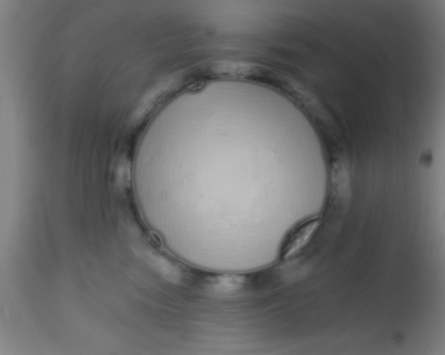 X0000112520474200909071338