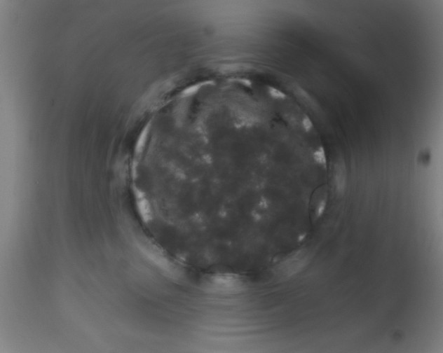 X0000112520475200909071338