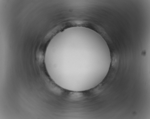 X0000112520476200909071338