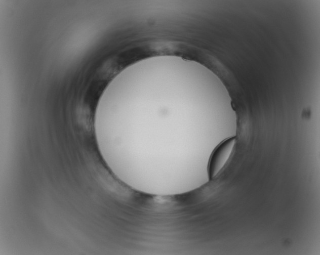X0000112520477200909071338