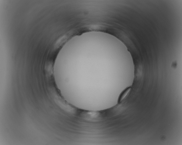 X0000112520478200909071338