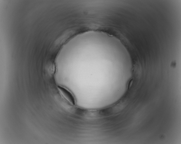 X0000112520479200909071338