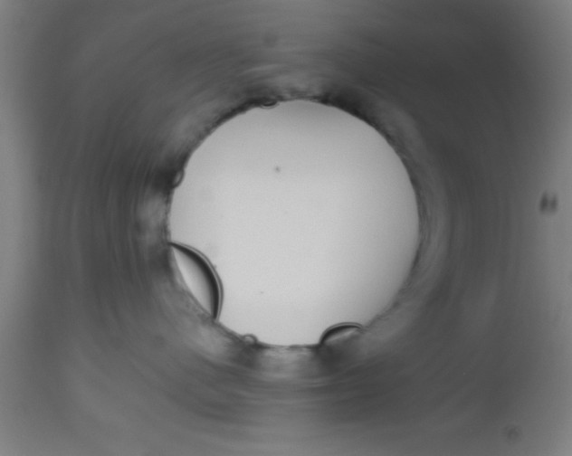 X0000112520480200909071338
