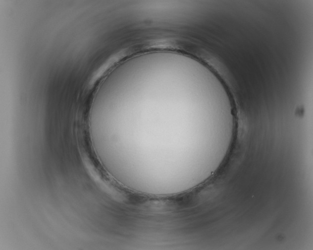 X0000112520482200909071337