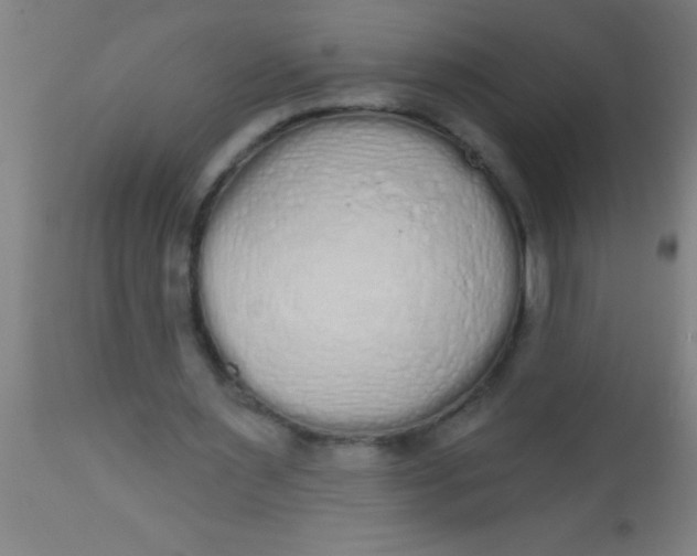 X0000112520483200909071337