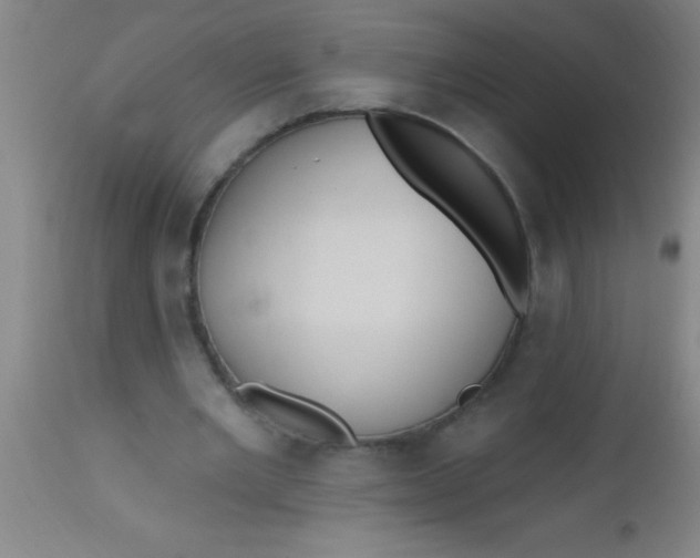 X0000112520485200909071337