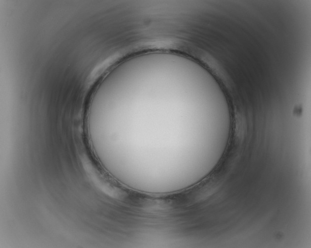 X0000112520486200909071337